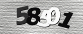صورة التحقق