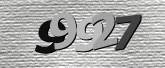 صورة التحقق
