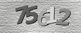 صورة التحقق