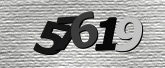 صورة التحقق