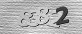 صورة التحقق