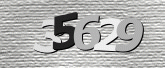 صورة التحقق
