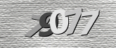 صورة التحقق