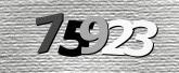 صورة التحقق