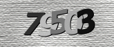 صورة التحقق