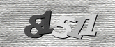 صورة التحقق