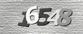 صورة التحقق
