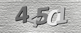 صورة التحقق
