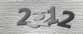صورة التحقق
