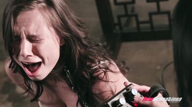 Begging To Be Dominated