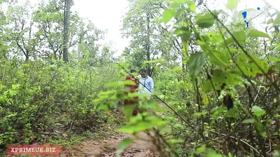 Hot Outdoor Sex With Indian Girlfriend
