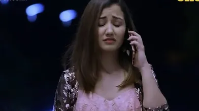 Boyfriend Girlfriend Car Sex
