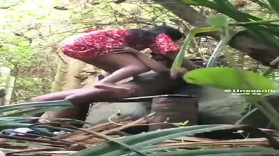 Desi Lovers Secret Sex In Park 1