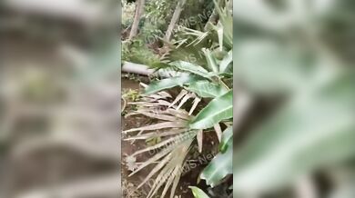 Malayalam Mature Bhabhi Open Garden