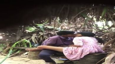 Desi Lovers In Park Sex