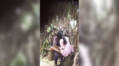Desi Lovers In Park Sex