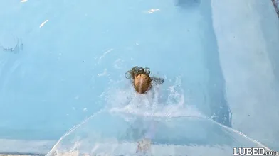 Pool Tease