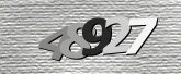 Immagine di protezione