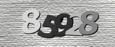 Captcha resmi