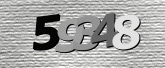 Captcha resmi
