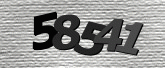 Captcha resmi