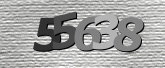 Captcha resmi