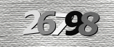 Captcha resmi