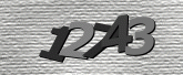 Captcha resmi