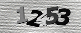 Captcha resmi