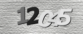 Captcha resmi