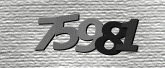 Captcha resmi