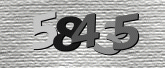 Captcha resmi