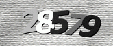 Captcha resmi