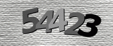 Captcha resmi