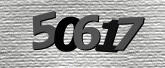 Captcha resmi