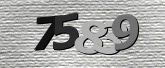 Captcha resmi