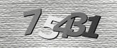 Captcha resmi